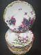 Set Of 10 Limoges Hand- Painted Berries Gilt Plates D 8 1/4