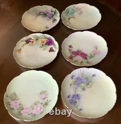 Set of 6 Antique Haviland Limoges Botanical Dessert Plates Hand Painted