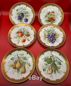 Set of 6 LIMOGES France SENA signed S M Plates FRUIT Flowers Gold Handpainted