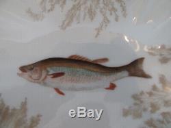 Set of 9 Early 20th Century Handpainted T&V Limoges Fish Plates
