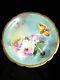 Superb Limoges France Duval Hand Painted Reflecting Water & Roses Charger 13 1/2