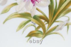 T&V Limoges Hand Painted Signed Lily Gold Encrusted Botanical 9 1/2 Inch Plate
