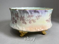 T & V Limoges Hand Painted & Signed by Croft Bowl