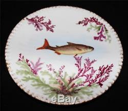 T & V Tressemanes & Vogt Hand Painted Fish Platter with 12 Plates Limoges France