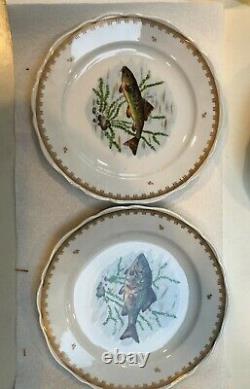 Vintage Hand Painted France Fish Designs Set 12 Dinner Plates & 24 Long Platter