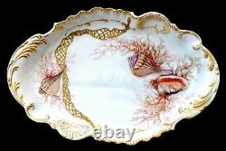 1890 Antique De Lanternier Porcelaine Limoges Seashell Peint À La Main 18,5 Platter