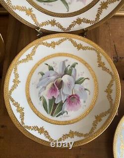 (4) Assiettes de cabinet BERNARDAUD LIMOGES en or incrusté avec des orchidées signées Schopp