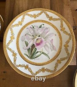 (4) Assiettes de cabinet BERNARDAUD LIMOGES en or incrusté avec des orchidées signées Schopp