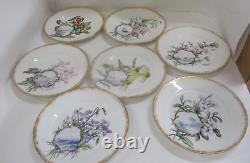 7 Assiettes peintes à la main du 19e siècle de la Haviland Limoges & Co H&C L, Différentes scènes.