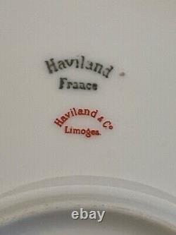 Ancien Haviland Limoges, France Roses Peintes À La Main Design Platter