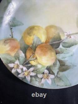 Anciennes Limoges Fruits Et Fleurs Plaques D'armoire Peintes À La Main 9 1/4 Signé Daté