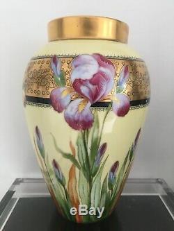 Antique D Co Limoges Peinte À La Main Vase Iris Fleurs Gilt Rim Illustrateurs 11