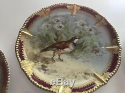 Antique Vintage Limoges Platter, 8 Assiettes, Oiseaux Peints À La Main Au Début Des Années 1900