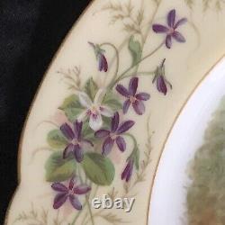 Assiette HAVILAND LIMOGES peinte à la main/France/signée/cerf et biche/violettes et papillons