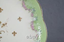 Assiette de chargement Pouyat Limoges peinte à la main avec portrait de Madame Lamballe, rose rose et doré