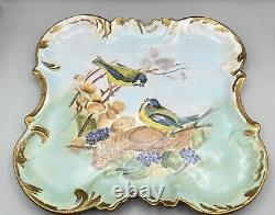 Assiette en porcelaine peinte à la main de Vienne ou de Limoges avec des oiseaux mésanges signés 12