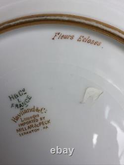 Assiette peinte à la main LIMOGES HAVILAND H&Co MILLAR & PECK Scranton PA E FURLAUD