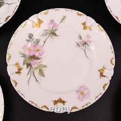 Assiettes à pain peintes à la main en porcelaine GDA Limoges France, Set de 8 Assiettes florales botaniques anciennes.