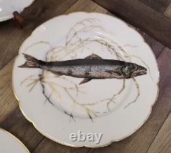 Assiettes à poisson anciennes CH Field Haviland Limoges France avec bordure festonnée dorée