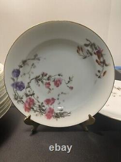 Assiettes à soupe aux fleurs CH Fields Haviland Limoges Antique de 1880 à 1900