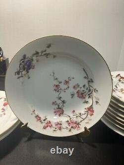 Assiettes à soupe aux fleurs CH Fields Haviland Limoges Antique de 1880 à 1900