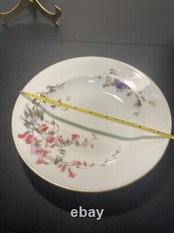 Assiettes à soupe aux fleurs CH Fields Haviland Limoges Antique de 1880 à 1900