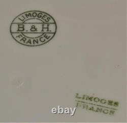 Atq B&h Limoges France Peinture À La Main En Or Lourd Blossom 9 Plaque D'armoire