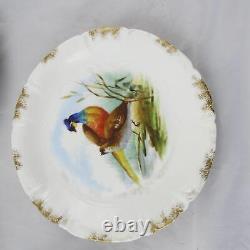 Ensemble Antique De 6 Plaques D'oiseaux Peintes À La Main Par Charles Field Haviland Limoges 8-3/4 B