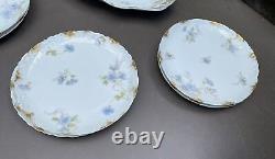 Ensemble de dessert en porcelaine Limoge antique décoré de fleurs en 9 pièces