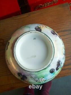 Georgeous Antique Limoges D&c France Hand Painted Footed Punch/fruit Bowl