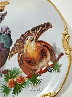 Magnifique Antique Limoges Coronet Signé À La Main Jeu Plaque D'oiseau Or Rim