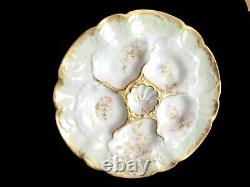 Plaque D'oyster D'antique Appel Français