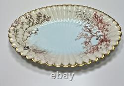 Plat ovale peint à la main de Limoges de 1886 avec des algues, des coquillages et un bord festonné de 15.5 pouces.