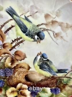 Plateau à biscuits Limoges France Assiette peinte à la main Jays verts Oiseaux dans un nid Signé