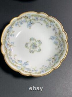 Rare DIX 1880 Mark H Haviland Limoges France Blue Floral Spray Butter Pat Dishs