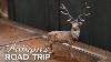 Tim Medhurst Et Irita Marriott Journée 5 Saison 22 De Antiques Road Trip